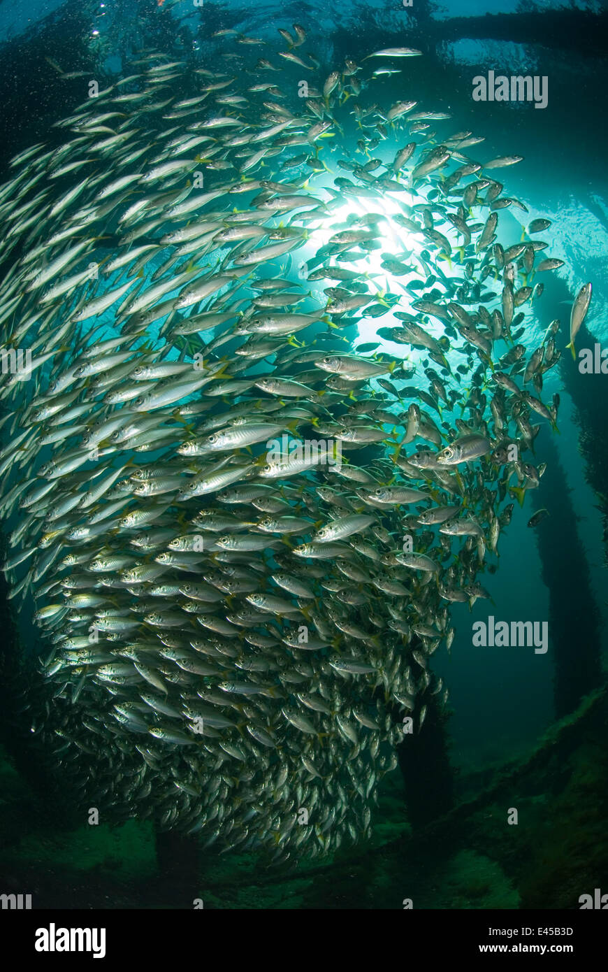 Beneath a jetty hi-res stock photography and images - Alamy