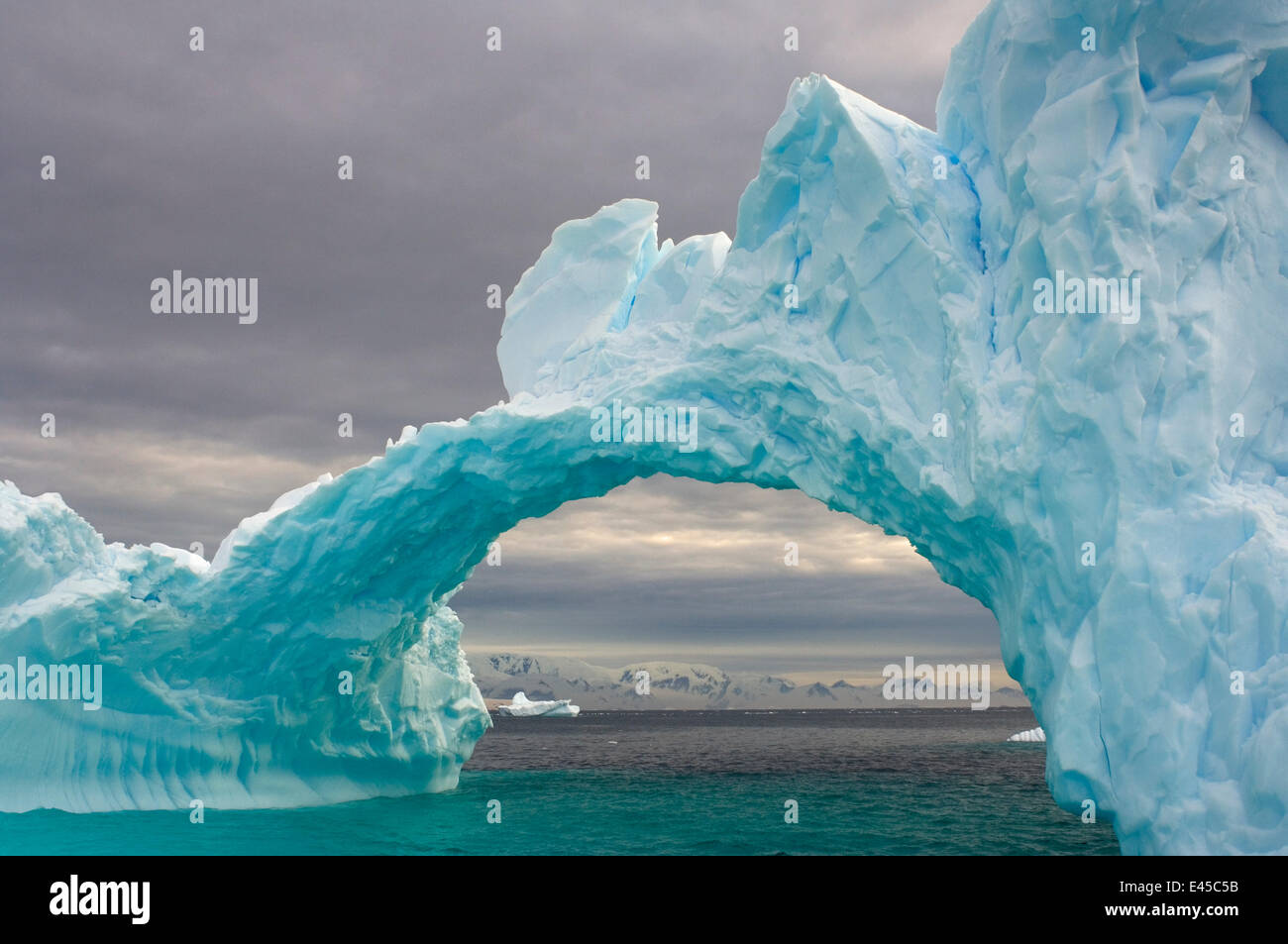 Arched Iceberg Floating Off The Western Antarctic Peninsula Southern arched-iceberg-floating-off-the-western-antarctic-peninsula-southern