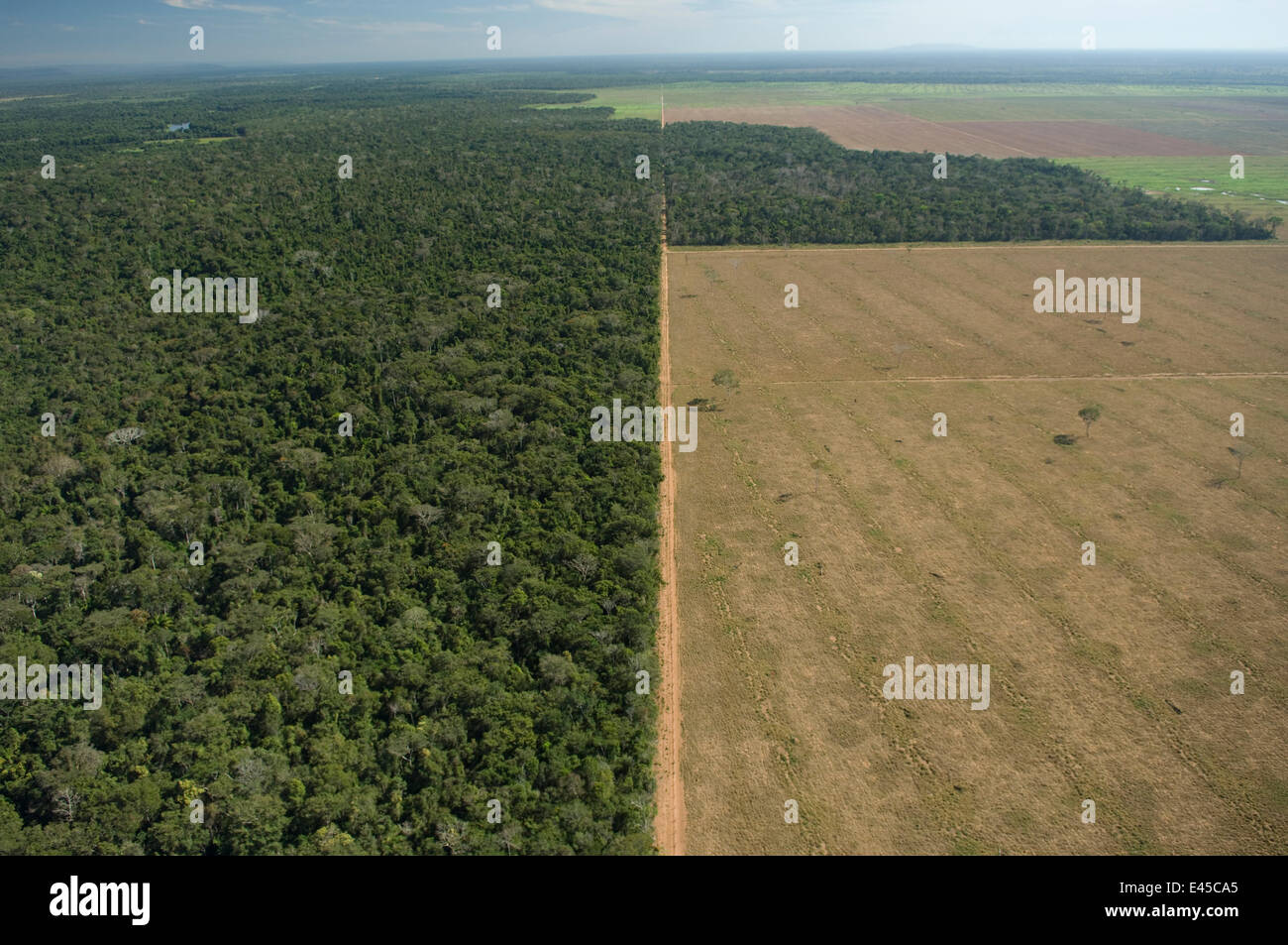 Aerial view of cattle pasture land created from tropical rainforest, Western Mato Grosso State, Western Brazil. Stock Photo