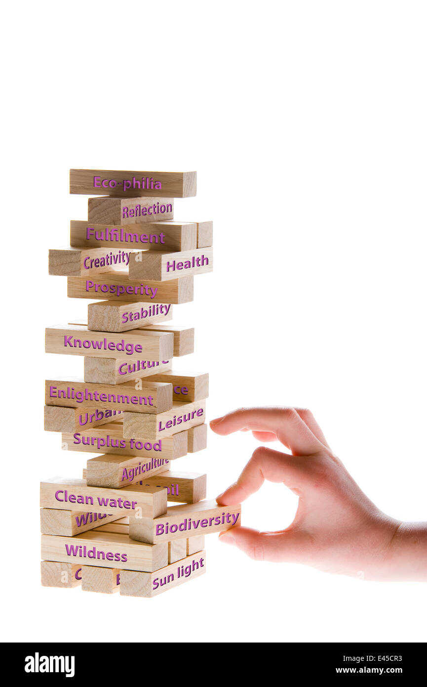 Why biodiversity matters. Person pulling labelled wooden block from game of Jenga, all blocks above will come tumbling down, Scotland, UK, 2007 Stock Photo