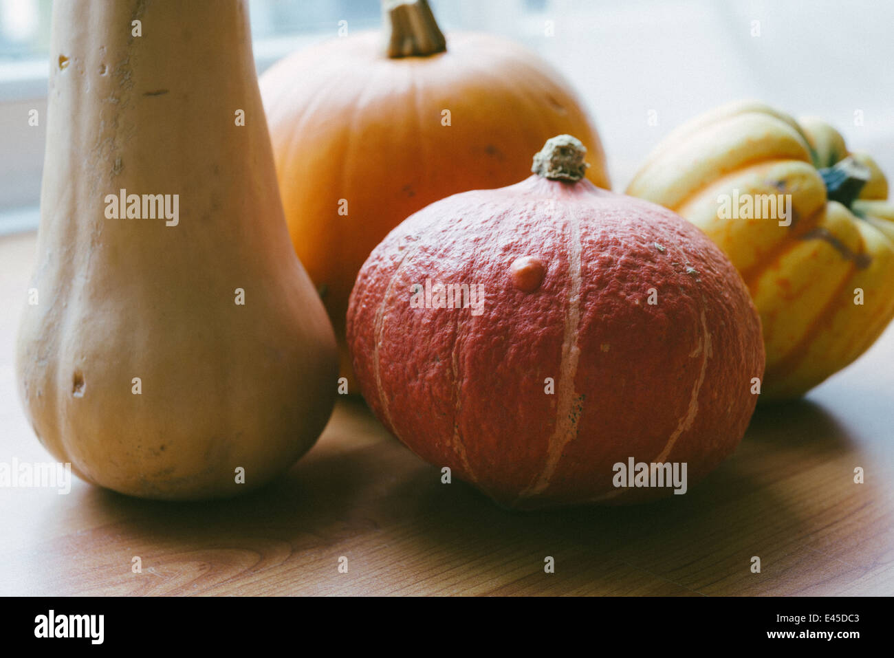 A variety of autumnal pumpkins & squashes ready for carving for Halloween into spooky designs and also for making into soups and casseroles Stock Photo