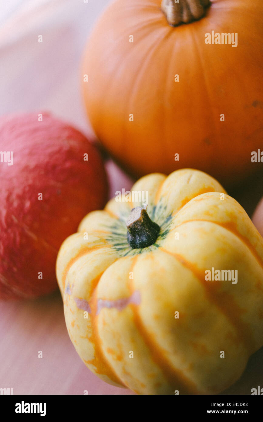 A variety of autumnal pumpkins & squashes ready for carving for Halloween into spooky designs and also for making into soups and casseroles Stock Photo