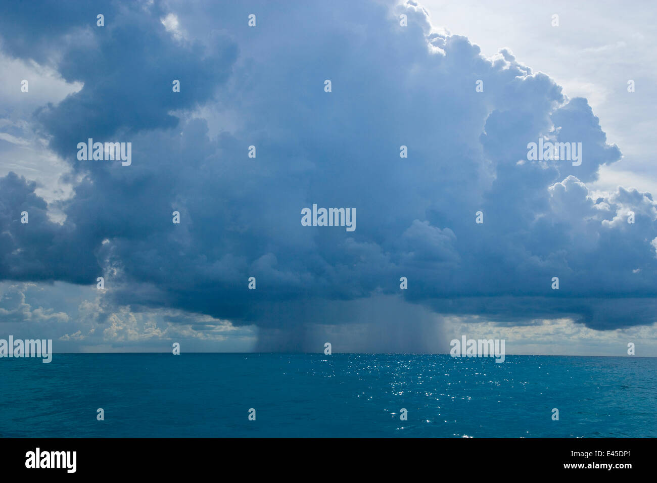 Rain falling from cumulonimbus clouds over the sea, Bahamas, Caribbean Stock Photo