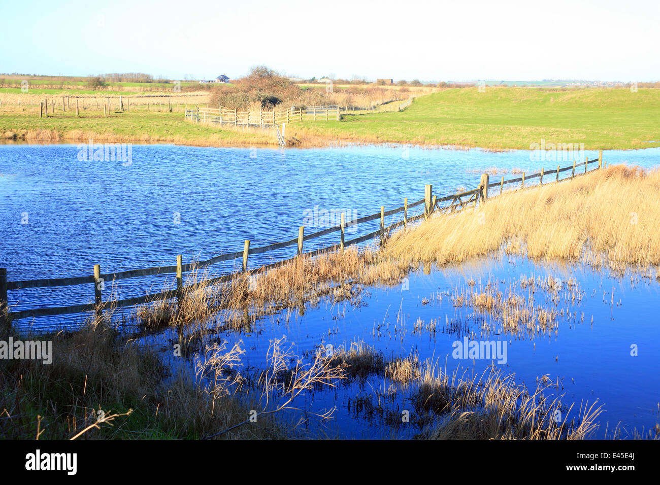 Isle of sheppey marsh hi-res stock photography and images - Alamy