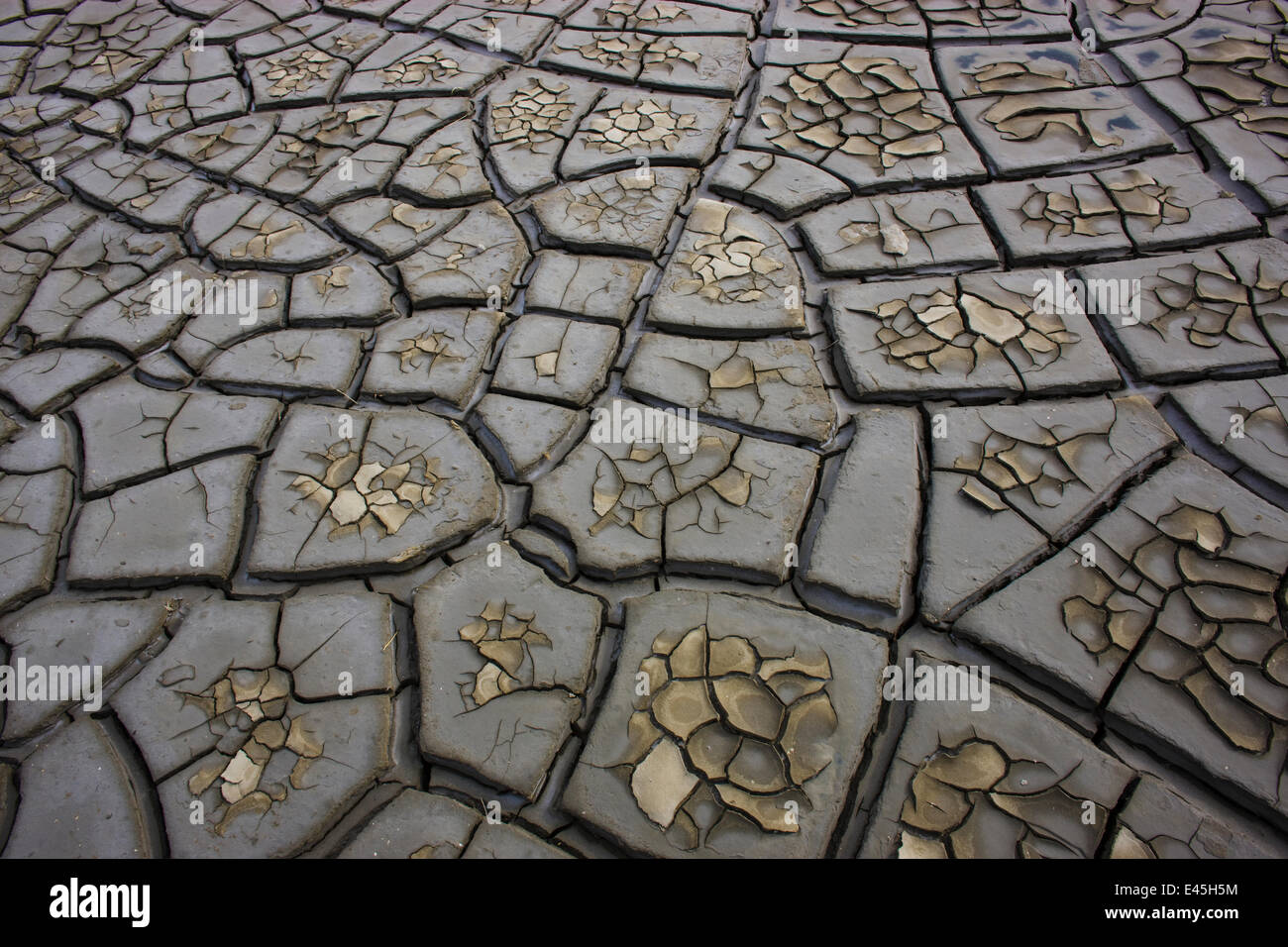 Drought patterns in muddy soil, Camargue, France, May 2009 Stock Photo
