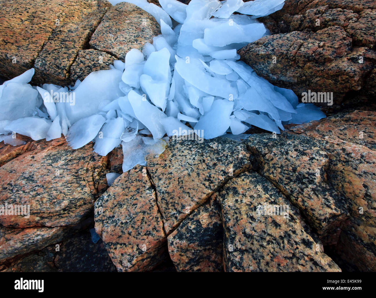 Ice fragments on coastal rocks, Saqqaq, Greenland, August 2009 Stock ...