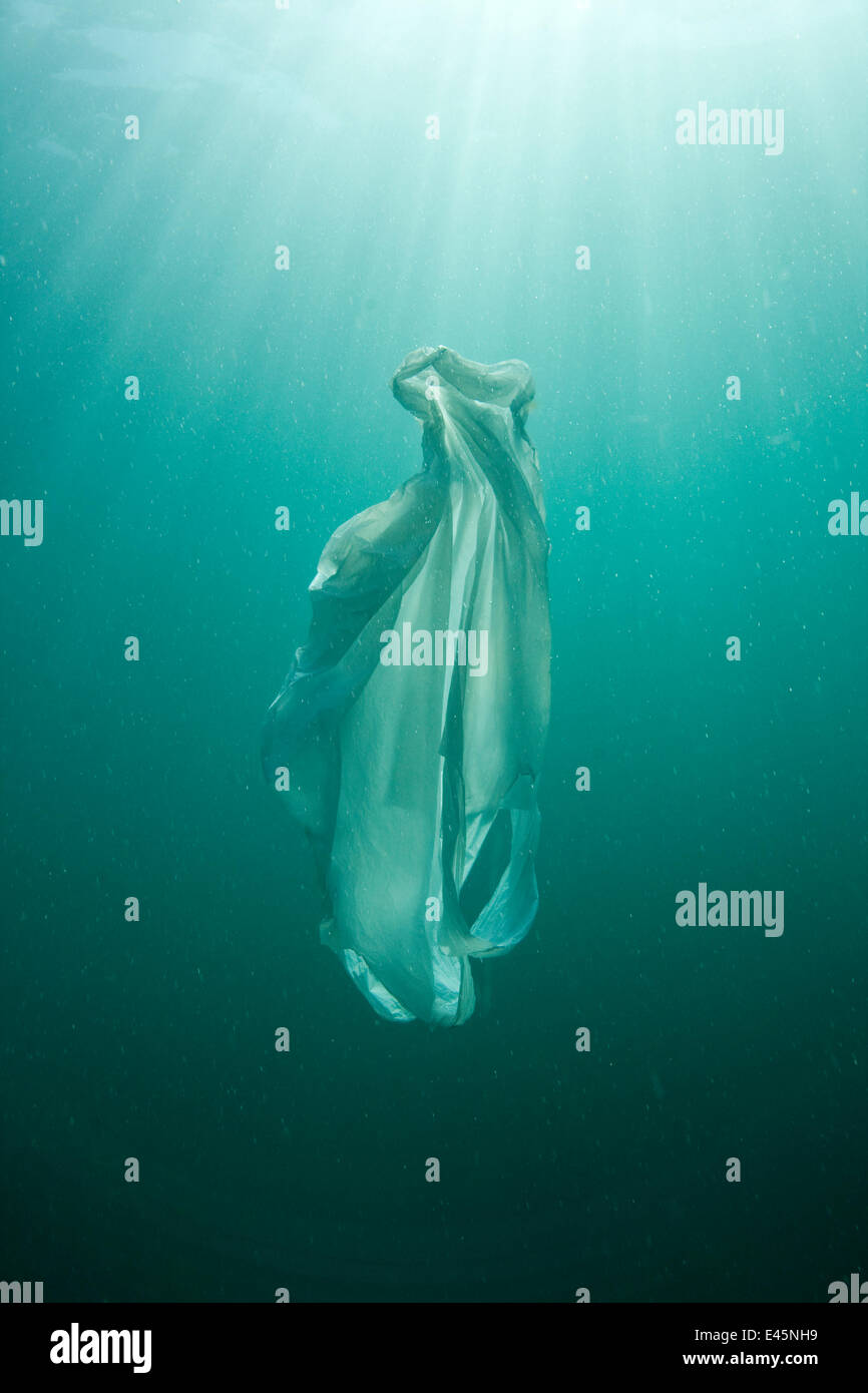 Plastic bag floating in the sea, resembling a jellyfish swimming