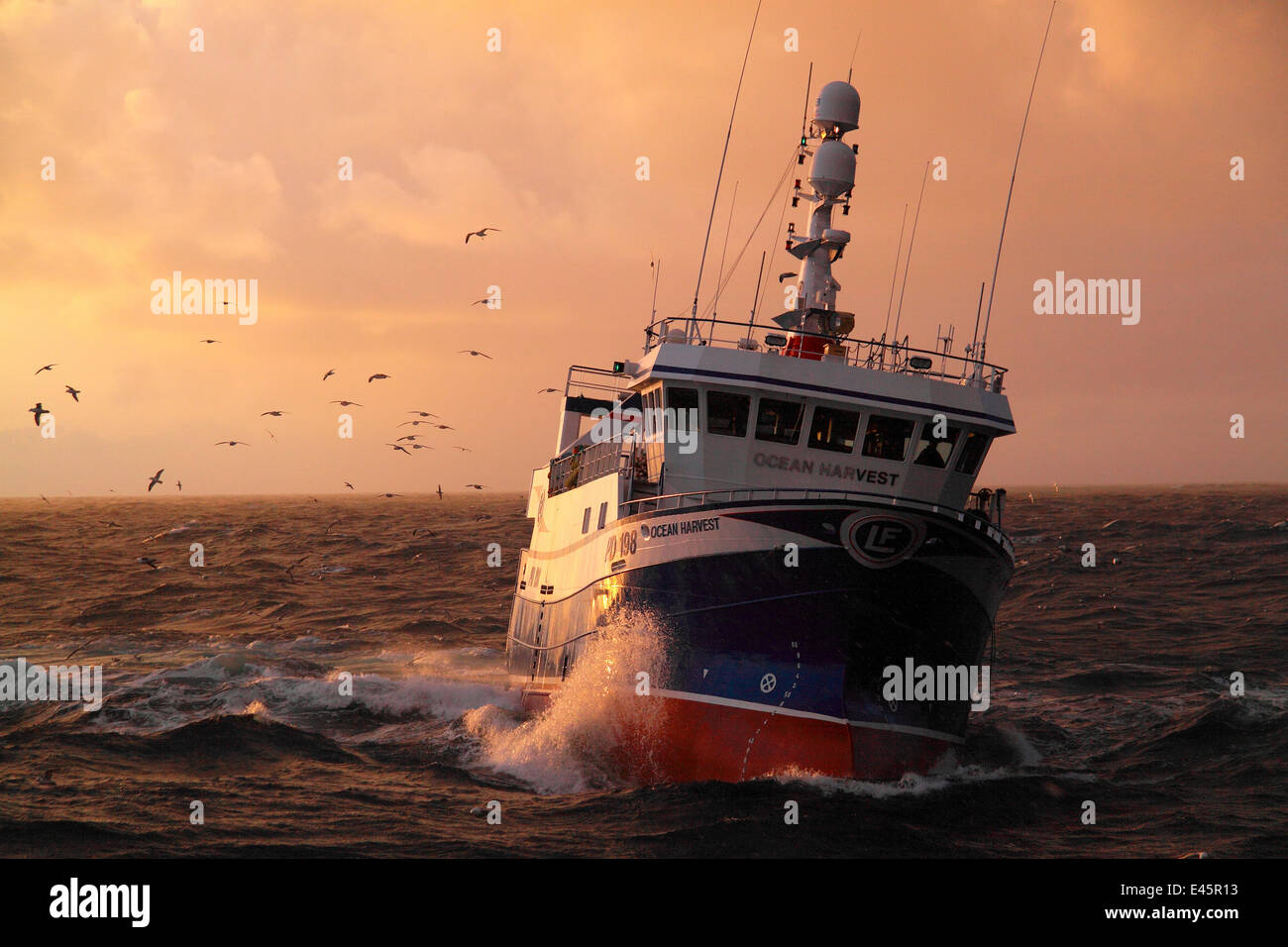 North Sea fishing trawler 'Ocean Harvest', May 2010. Property released. Stock Photo