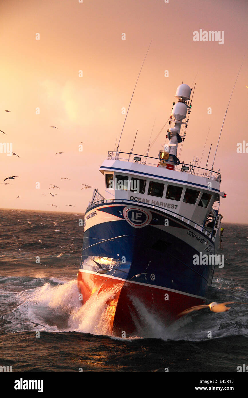 Fishing vessel 'Ocean Harvest' on the North Sea, May 2010. Property released. Stock Photo