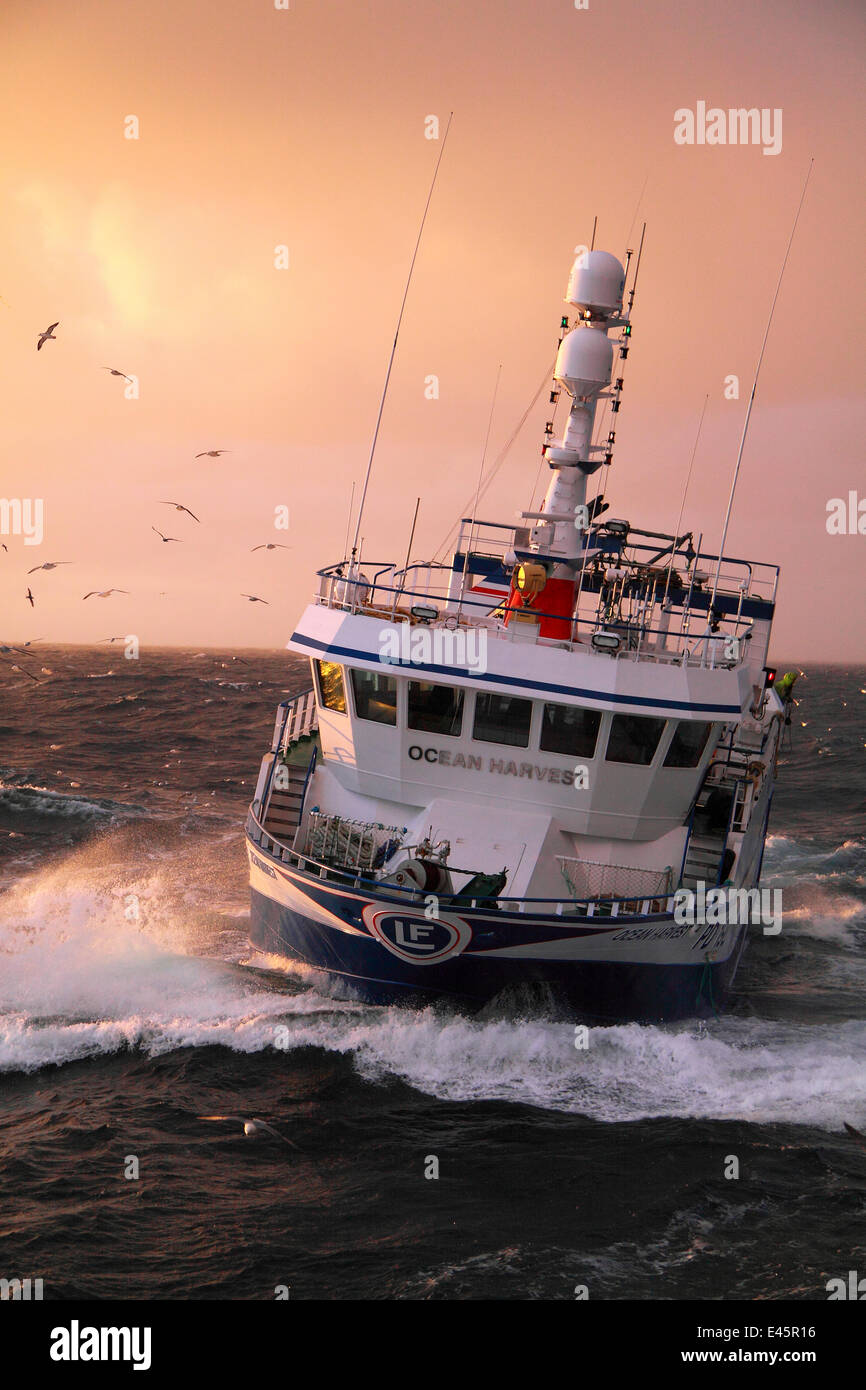 Fishing vessel Ocean Harvest on the North Sea May 2010. Property released. Stock Photo