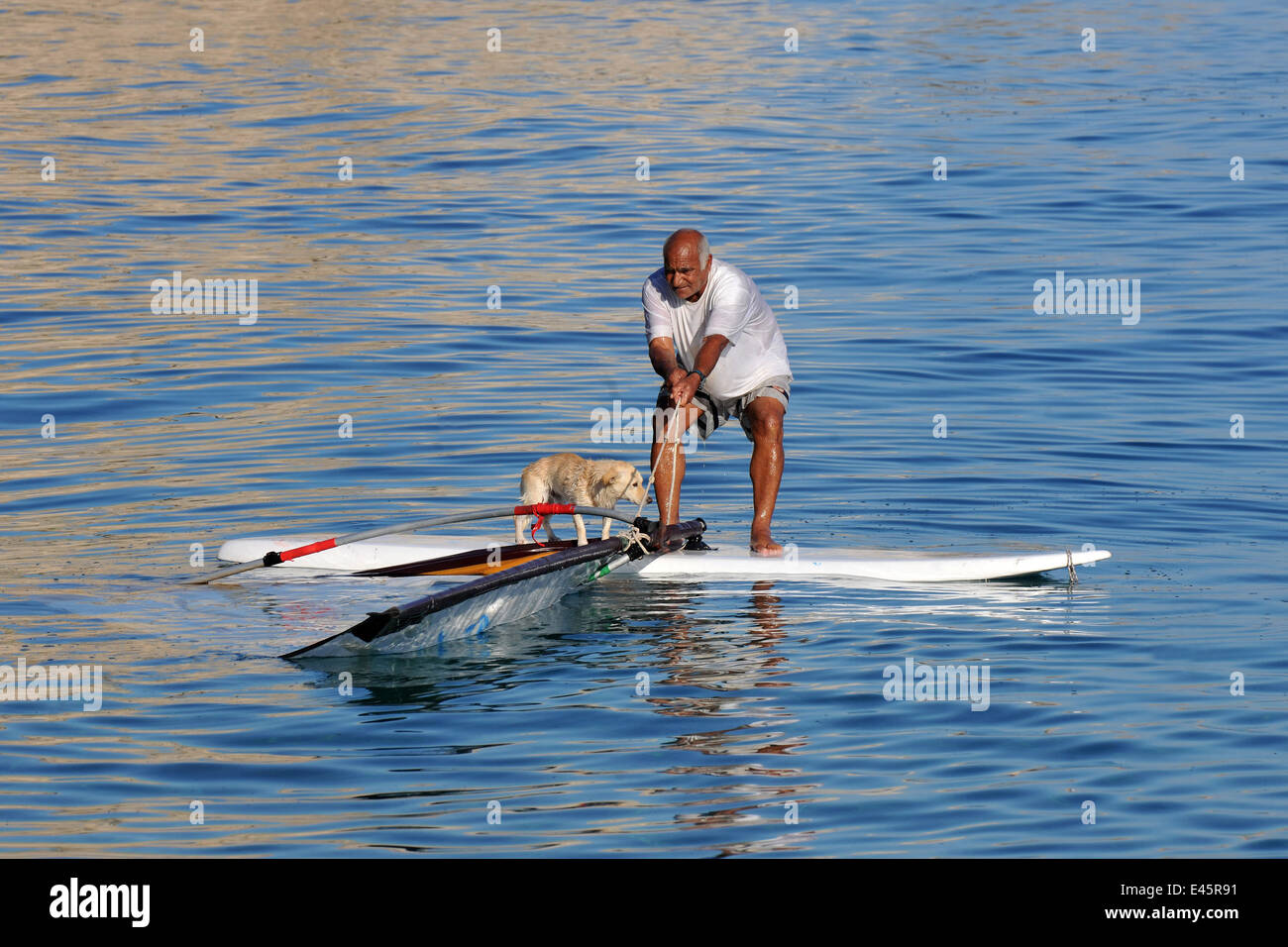 Griechenland, Rhodos, Afandou, Traganou-Strand, Windsurfer mit Hund Stock Photo