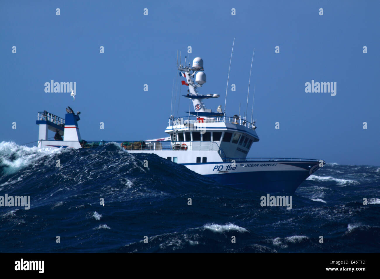 Fishing vessel 'Ocean Harvest' in heavy weather on the North Sea, September 2010. Property released. Stock Photo