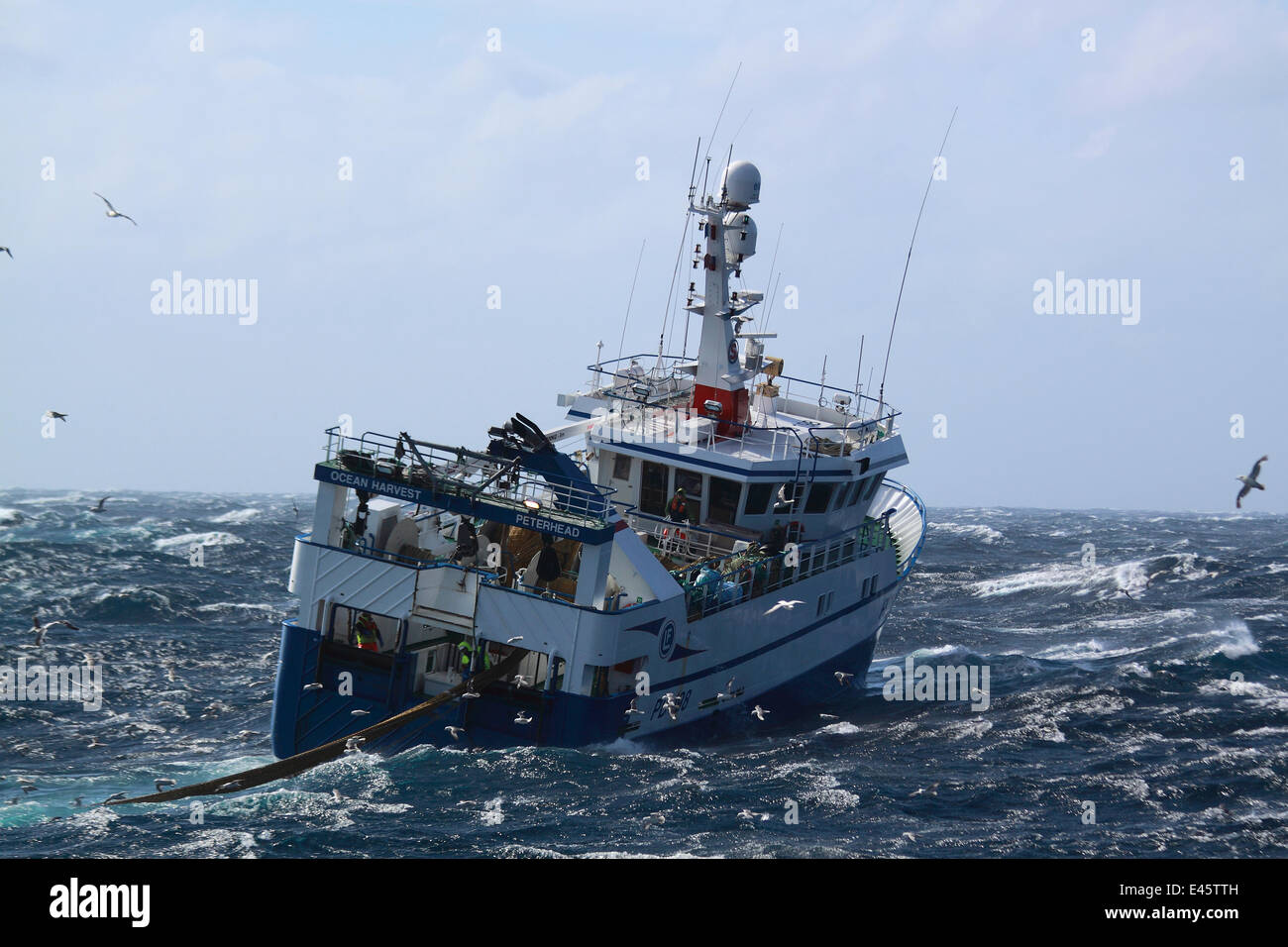 Fishing vessel 'Ocean Harvest' hauling net onboard. North Sea, September 2010. Property released. Stock Photo