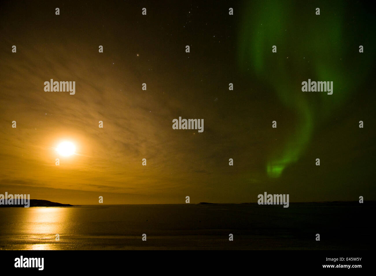 Northern Lights Aurora Borealis Across The Night Sky As The Late Summer Midnight Sun Travels Eastward Over The Beaufort Sea Off Shore From The 1002 Area Of The Arctic National Wildlife Refuge