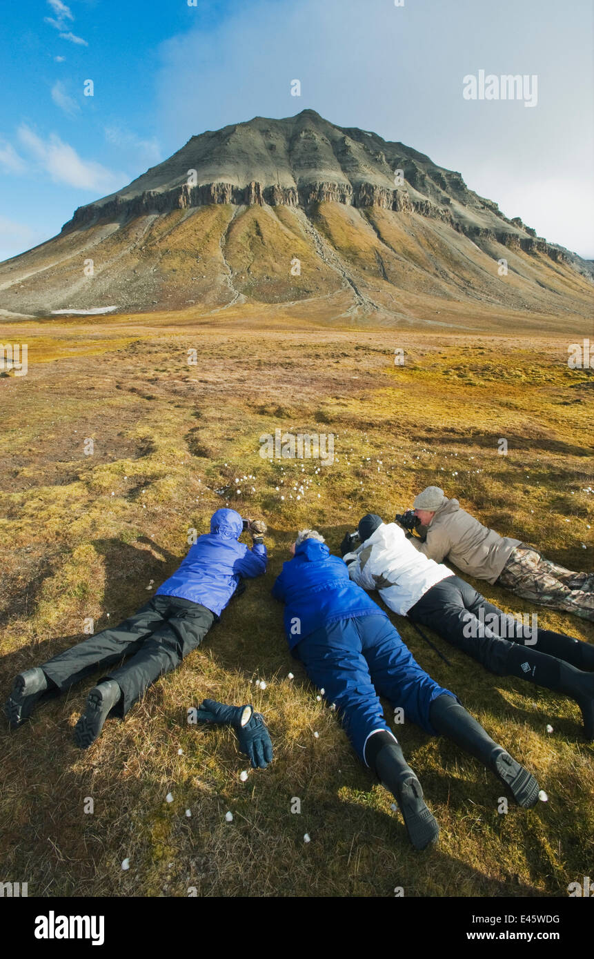 Four people lying on ground photographing Arctic / Scheuchzer's cotton grass (Eriophorum scheuchzeri) Edgeoya (Edge Island) Svalbard, Norway 2010 Stock Photo