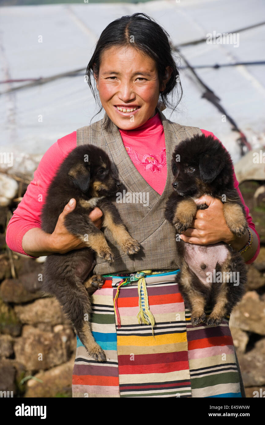 A Khampa woman farmer holds two baby Tibetan Mastiffs, near Huangyan, in the Garzê Tibetan Autonomous Prefecture in the Sichuan Province, China, June 2010 Stock Photo