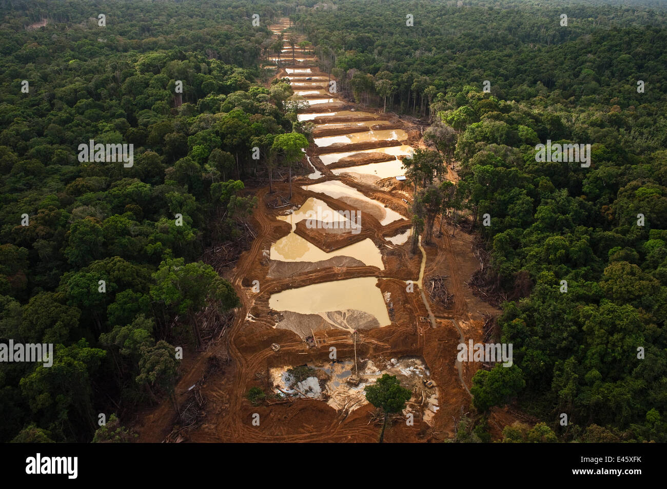 Aerial view of Alluvial Gold Mine in the rainforest, Guyana, December