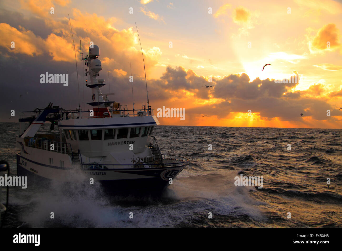 Fishing vessel 'Harvester' at sunset on the North Sea, Europe, November 2010. Property released. Stock Photo
