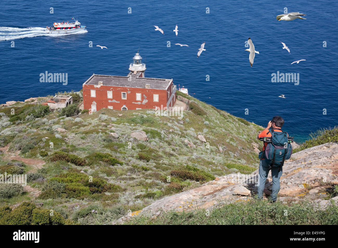 15704277199613537069allelighthouse Of Punta Fenaiohtml