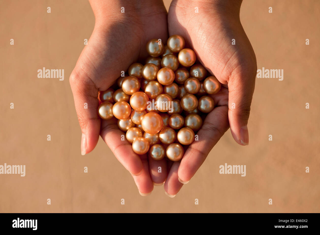 Pearl oyster hand hires stock photography and images Alamy
