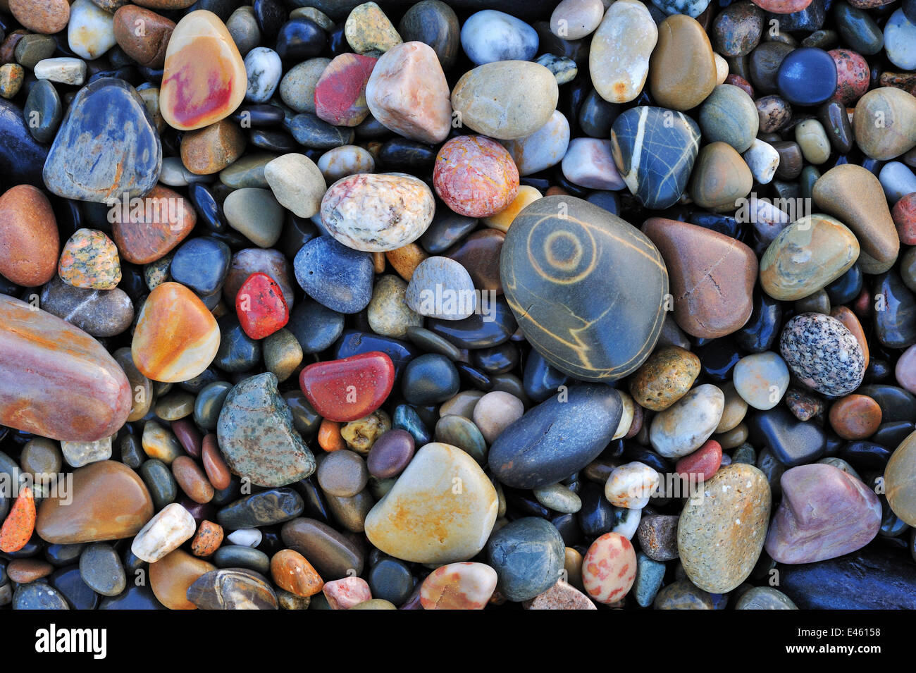 Colourful water-smoothed pebbles on shingle beach. Normandy, France, October 2010. Stock Photo