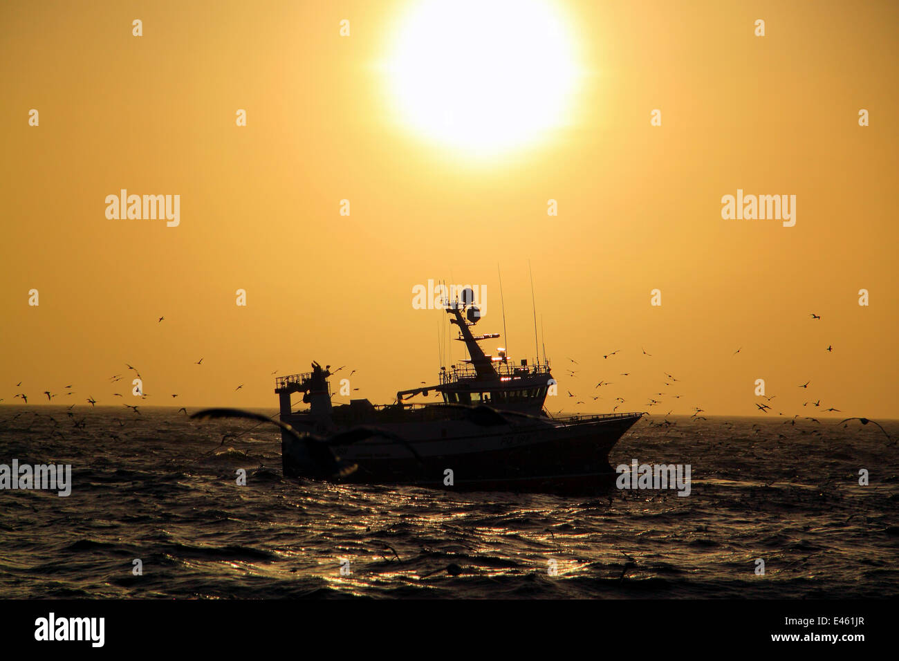 Trawling on the 'Ocean Harvest' at sunset on the North Sea, Europe, March 2011. Property released. Stock Photo