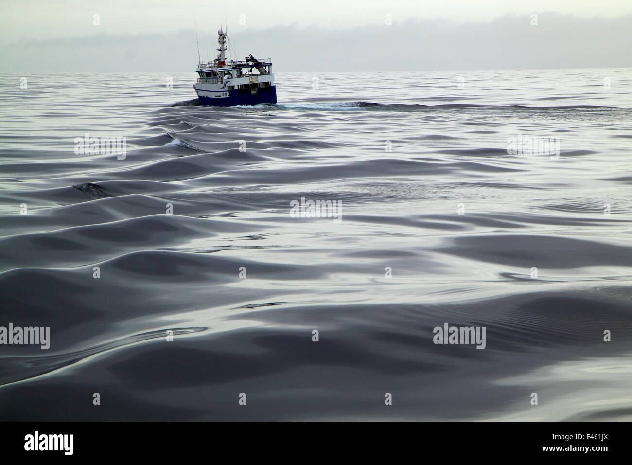 Trawler heading for fishing grounds on a calm day on the North Sea, Europe, April 2011. Property released. Stock Photo
