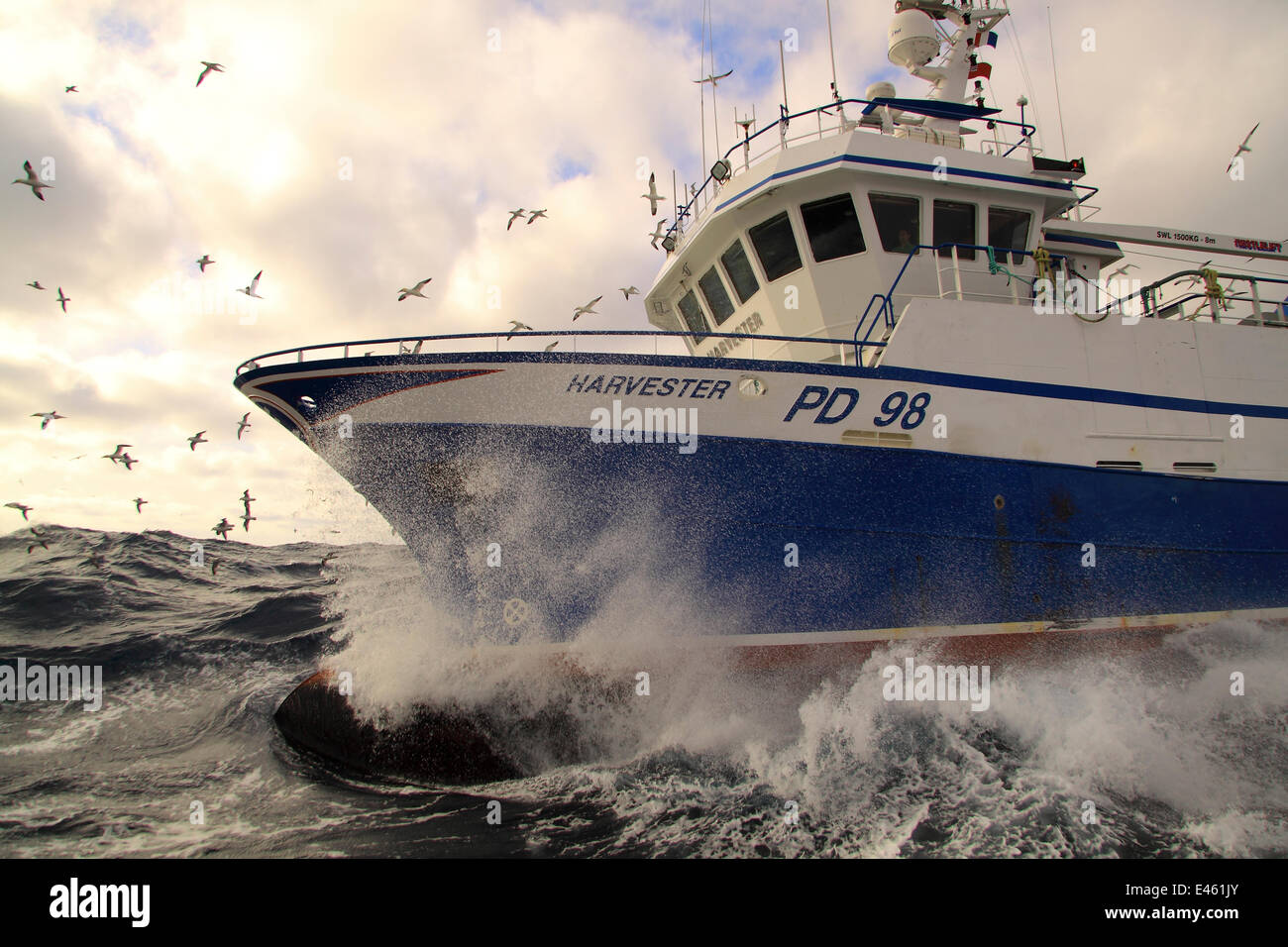 Fishing vessel 'Harvester' working on the North Sea, Europe, March 2011. Property released. Stock Photo