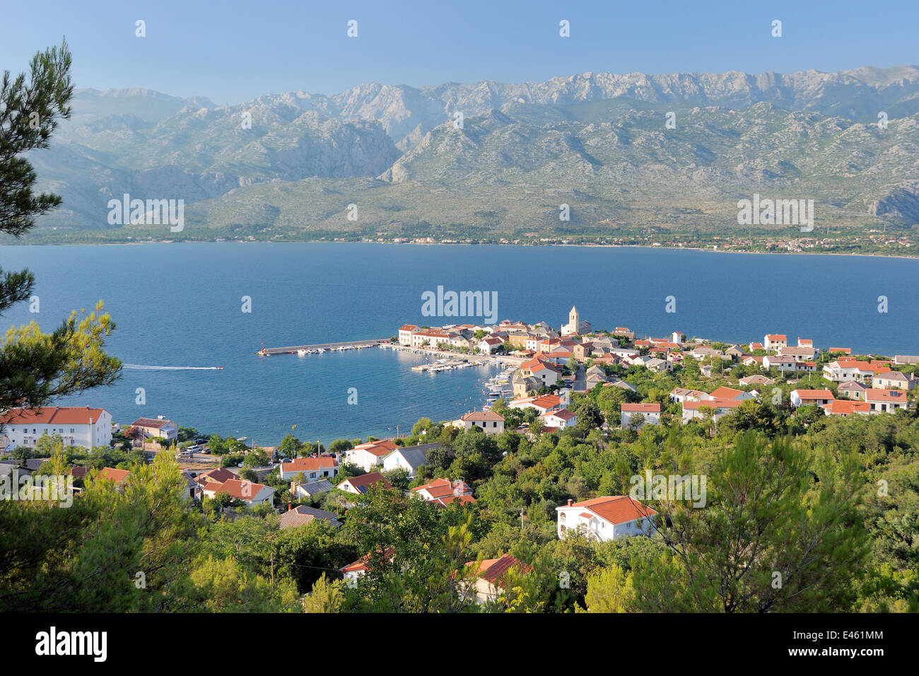 Overview of Vinjerac fishing village and harbour with Pine trees (Pinus sp.) in the foreground and the karst limestone Velebit mountain range of the Dinaric Alps in the background, Zadar province, Croatia, July 2010. Stock Photo