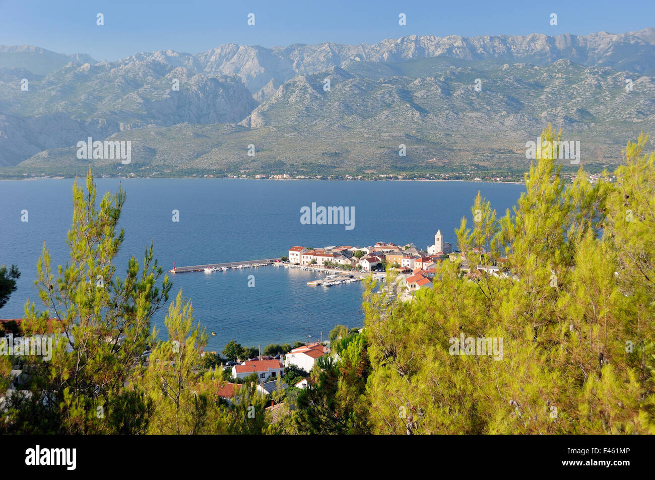 Overview of Vinjerac fishing village and harbour with Pine trees (Pinus sp.) in the foreground and the karst limestone Velebit mountain range of the Dinaric Alps in the background, Zadar province, Croatia, July 2010. Stock Photo