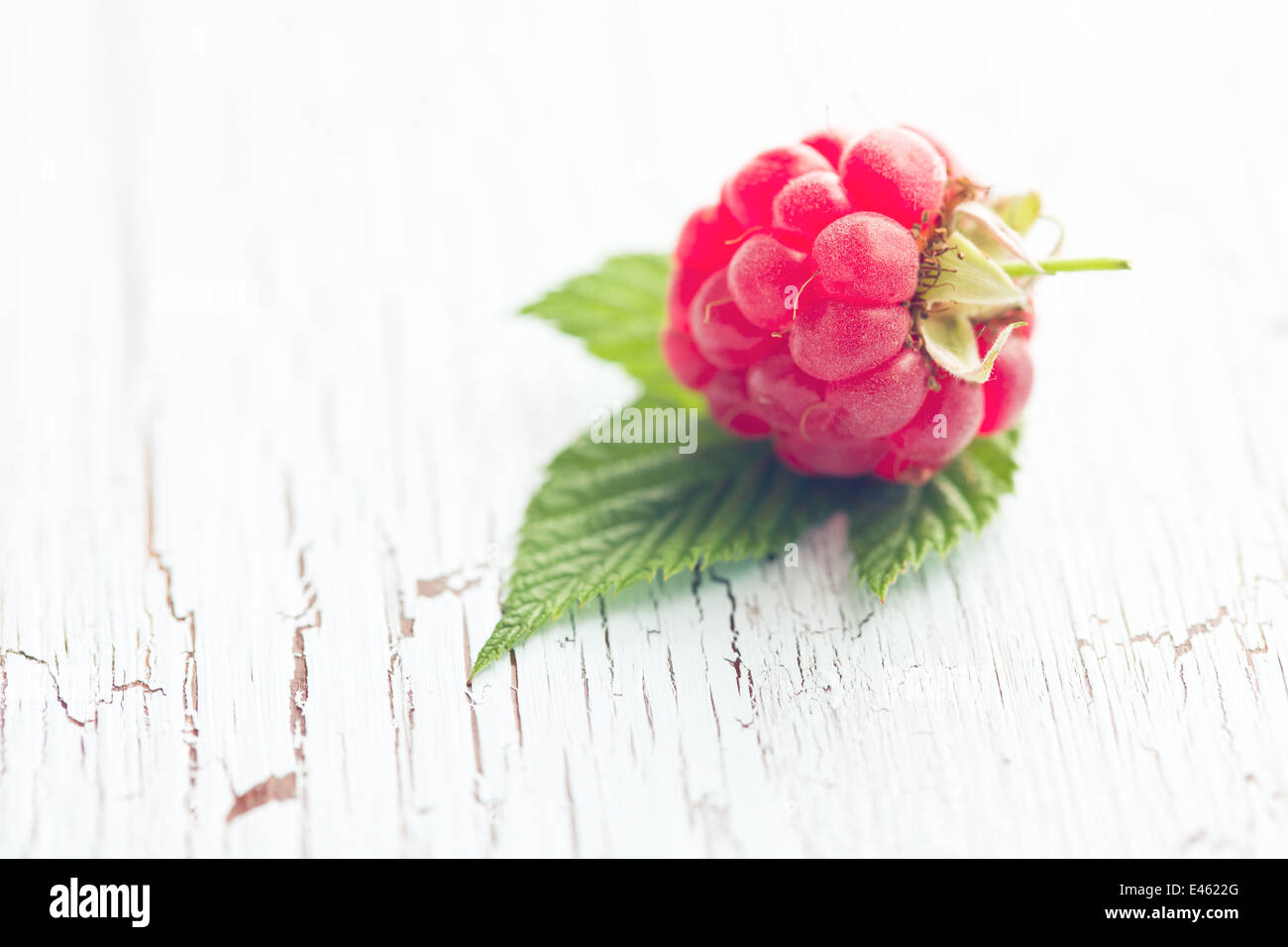 One Raspberry On A Table red raspberry on old cracked table Stock Photo - Alamy