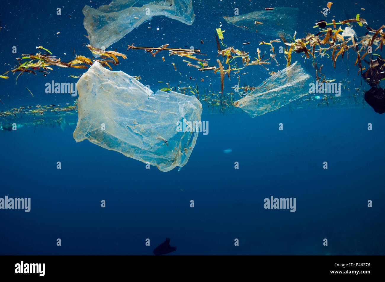 Plastic bags floating at the surface of the sea. Bunaken National Park