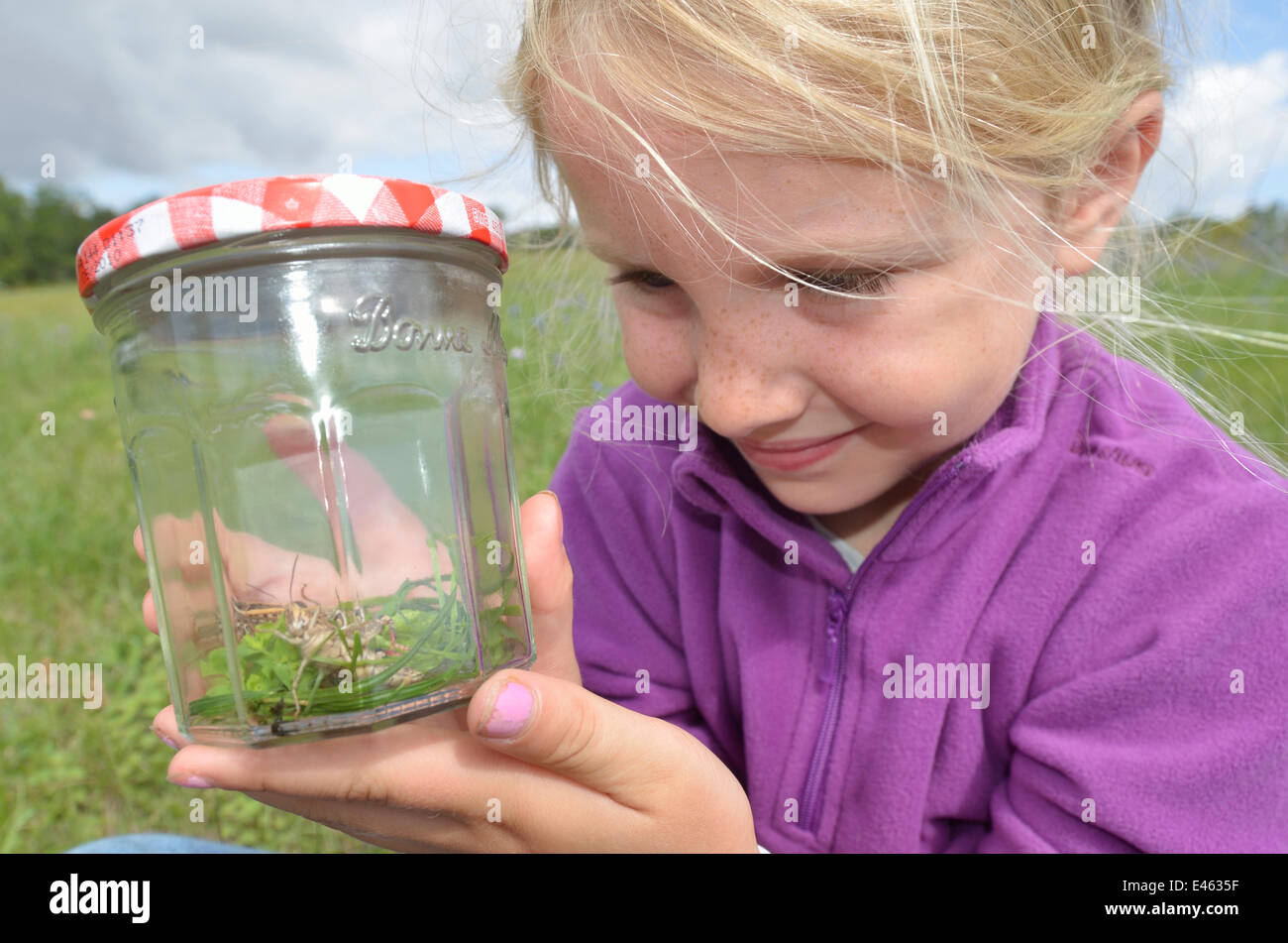 Child in garden collecting insects in jam jar. France, Europe, August
