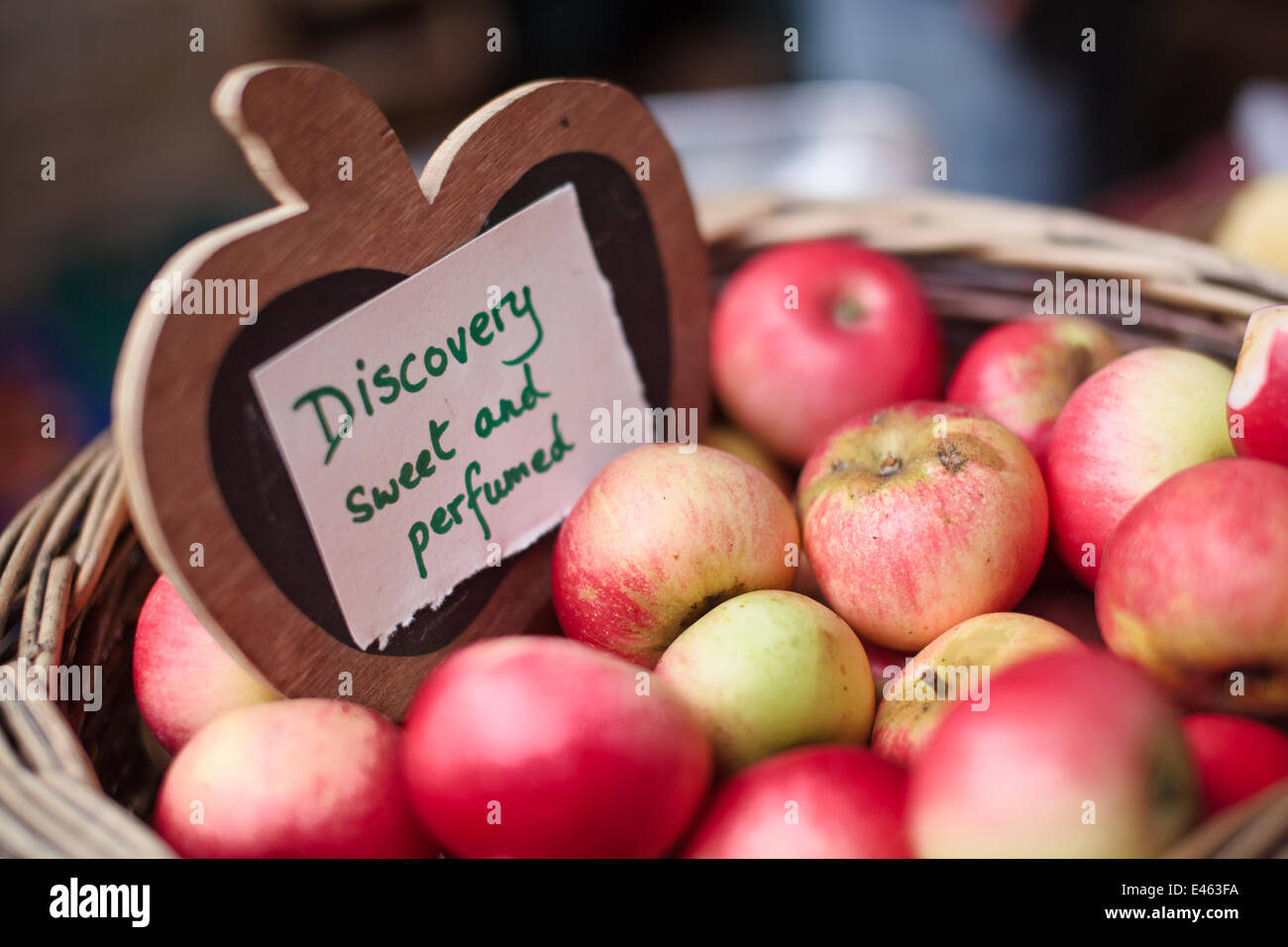 Hand picked heritage apples, Discovery, in a basket, Stroud Farmers Market, Stroud, Gloucestershire, UK, August 2011. Stock Photo