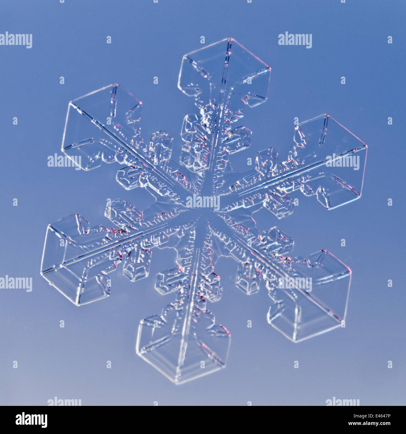 Snowflake magnified under microscope, Lilehammer, Norway Stock Photo ...