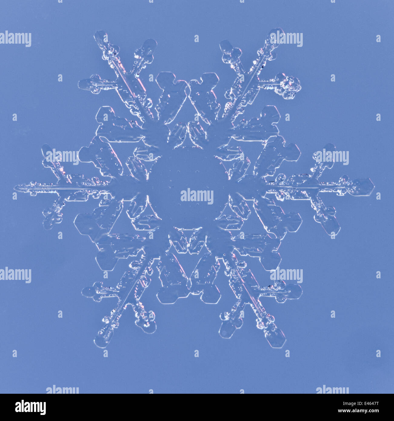 Snowflake magnified under microscope, Lilehammer, Norway Stock Photo