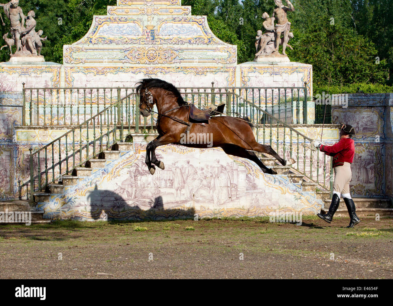 Lusitano horse, man training stallion in dressage steps, the high leap, Royal Riding School, Lisbon, Portugal, May 2011, model released Stock Photo