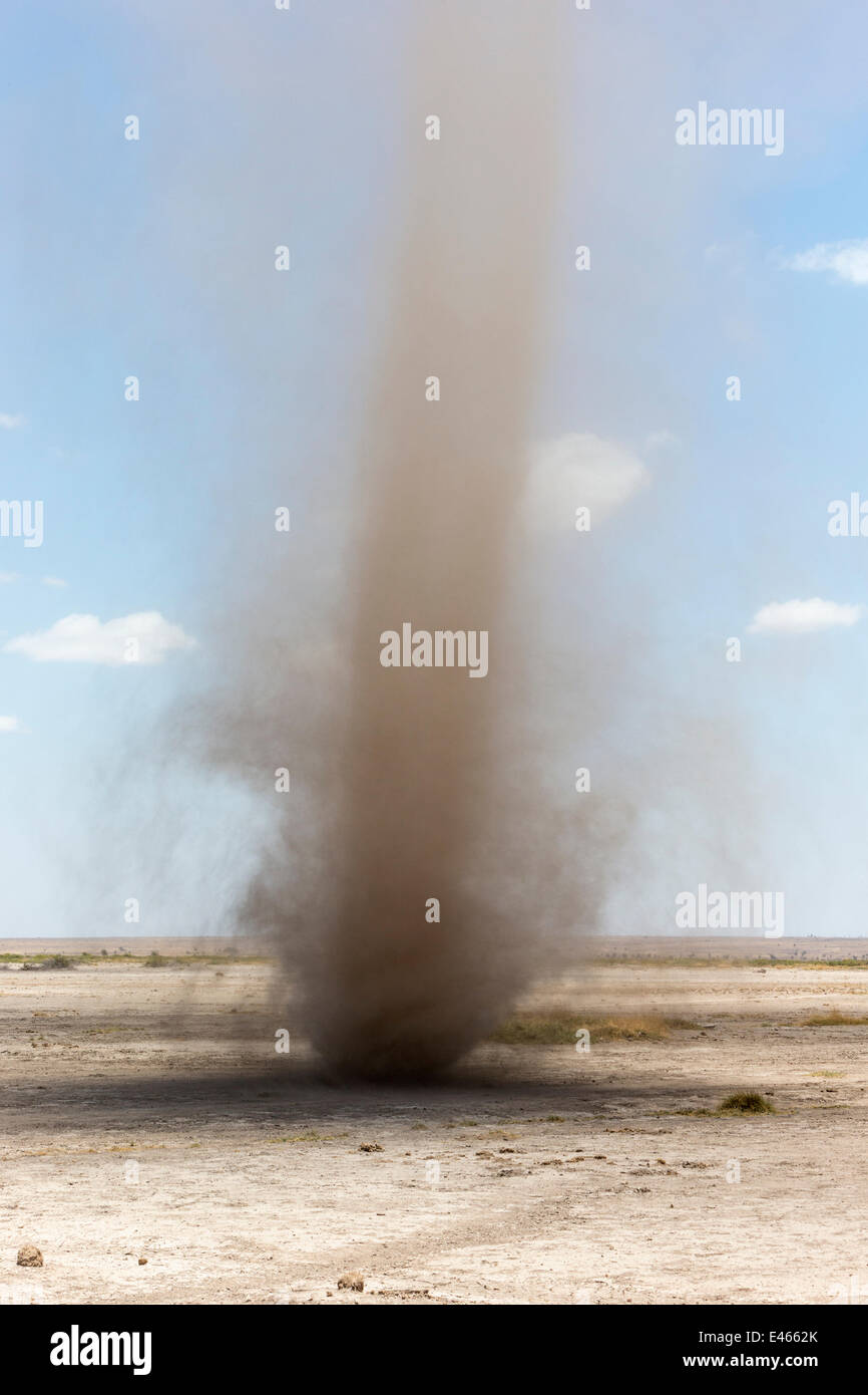 Dust devil in Amboseli National Park in dry season, Kenya, October 2012