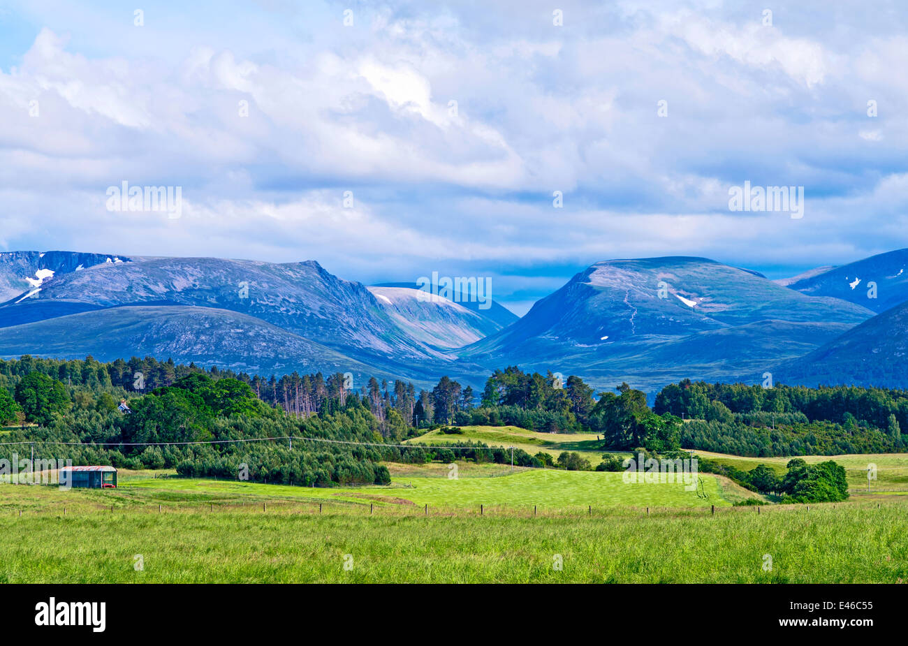 The Lairig Ghru mountain pass seen across farmland and forest on the Rothiemurchus estate, near Aviemore, Cairngorms, Scotland Stock Photo