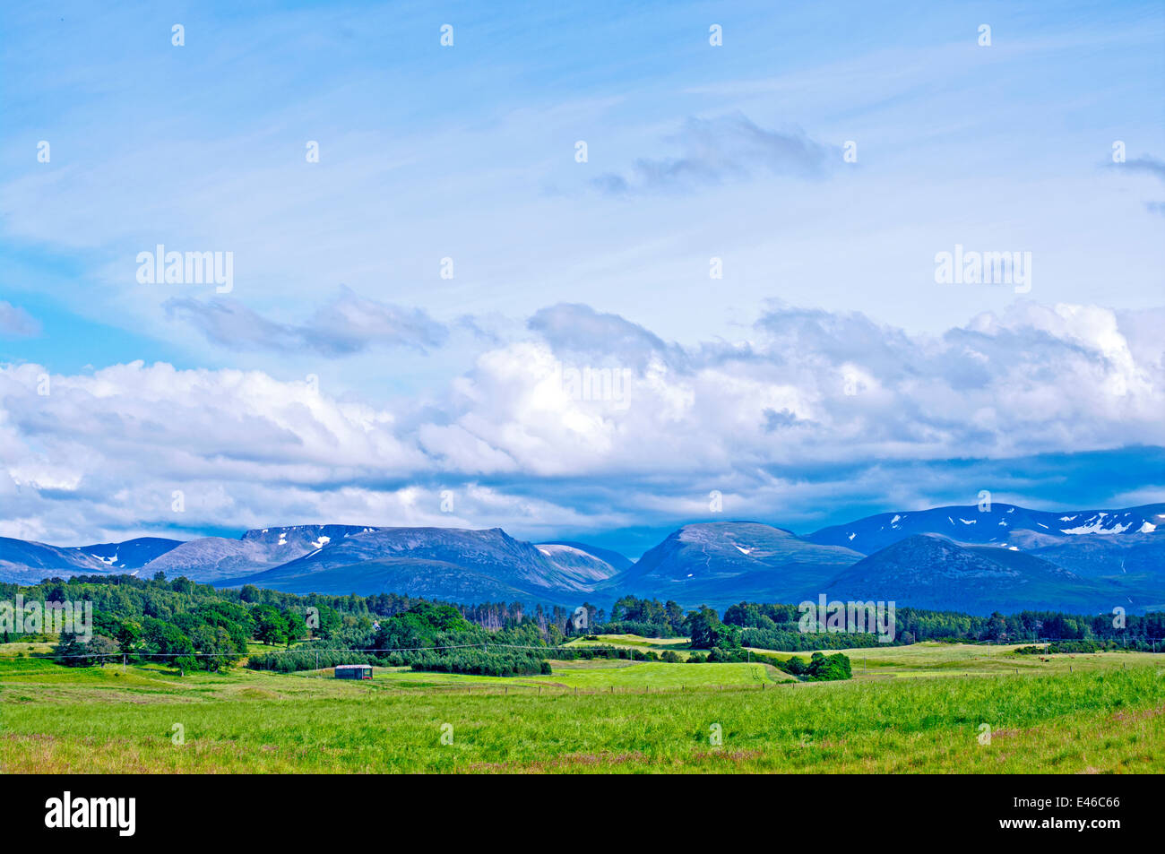 The Lairig Ghru mountain pass and Cairngorm plateau seen across the Rothiemurchus estate, near Aviemore, Cairngorms, Scotland Stock Photo