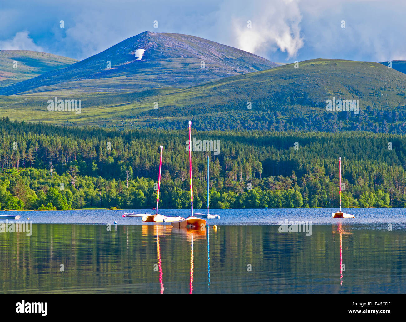 Small boats moored on and reflected in Loch Morlich, sunny summer evening, near Aviemore, Cairngorms National Park, Scotland UK Stock Photo