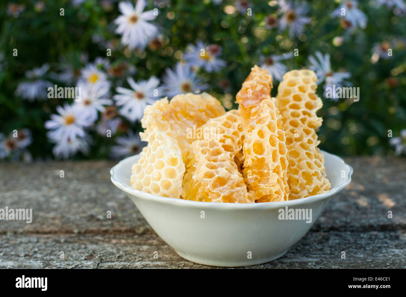 honey honeycombs beeswax food sweet natural plate pieces table stand wood old garden open air nobody flowers daisies yellow comb Stock Photo