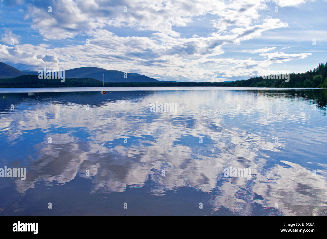 Blue sky and white clouds reflected in Loch Morlich, summer evening, near Aviemore, Cairngorms National Park, Scotland UK Stock Photo