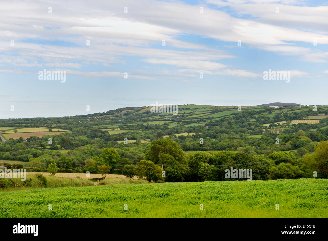 Welsh countryside and fields Pembrokeshire, Wales, UK Stock Photo