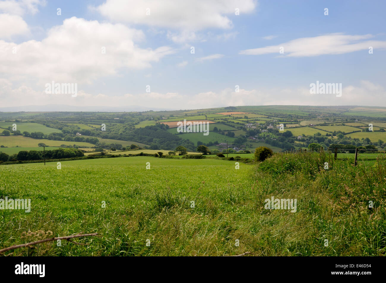 Wales countryside with grass ready for harvesting and patchwork fields in distance, Pembrokeshire, UK Stock Photo