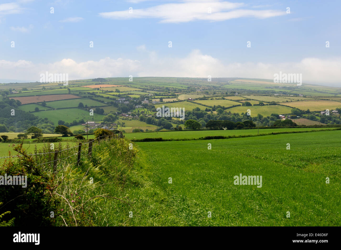 Wales countryside with grass ready for harvesting and patchwork fields in distance, Pembrokeshire, UK Stock Photo