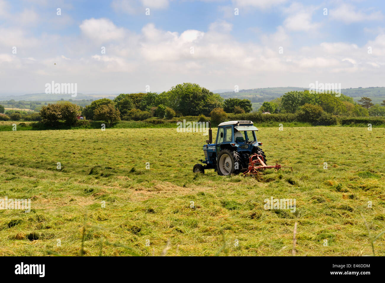 Farm tractor with "hay bob" rake turning grass to aid drying for hay or