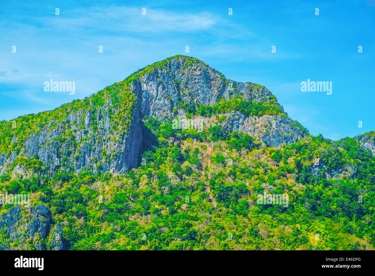 Rocky mountain green forest and blue sky landscape Stock Photo