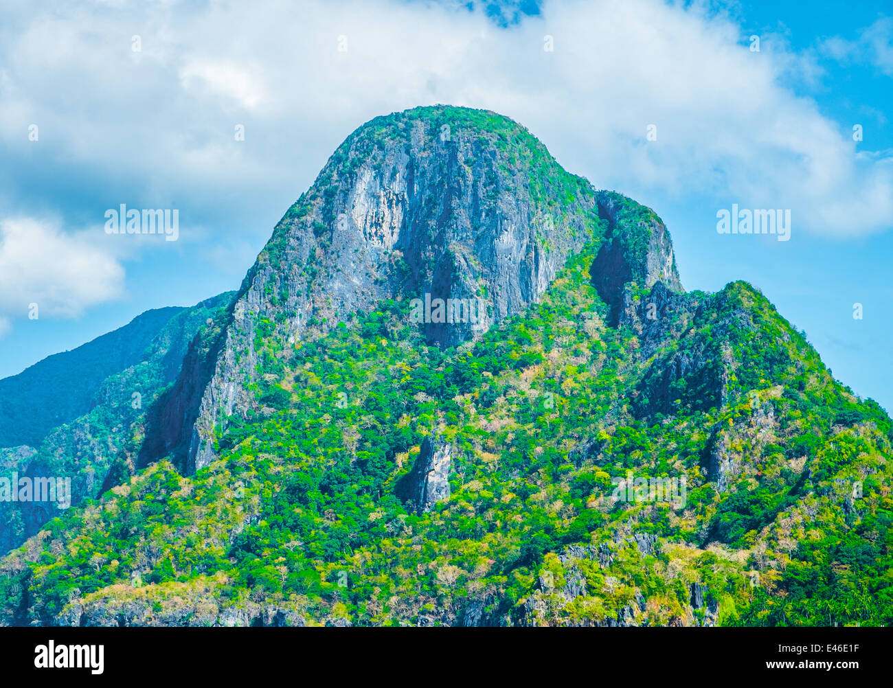 Summer mountain green forest and blue sky landscape Stock Photo - Alamy