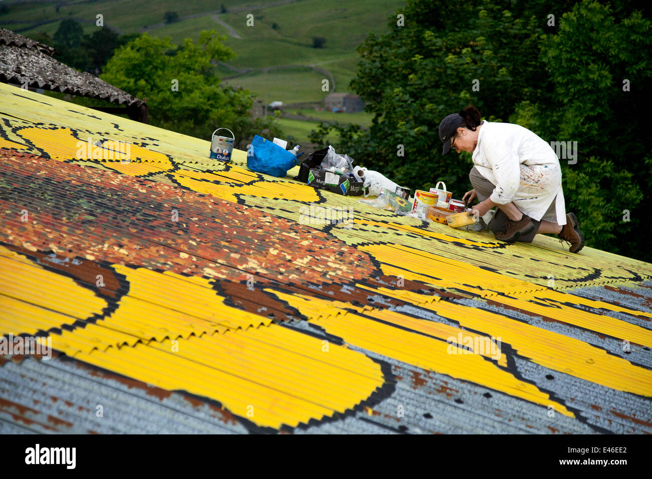 Sunflower Art Illustration In Muker Yorkshire Dales Uk 3rd July